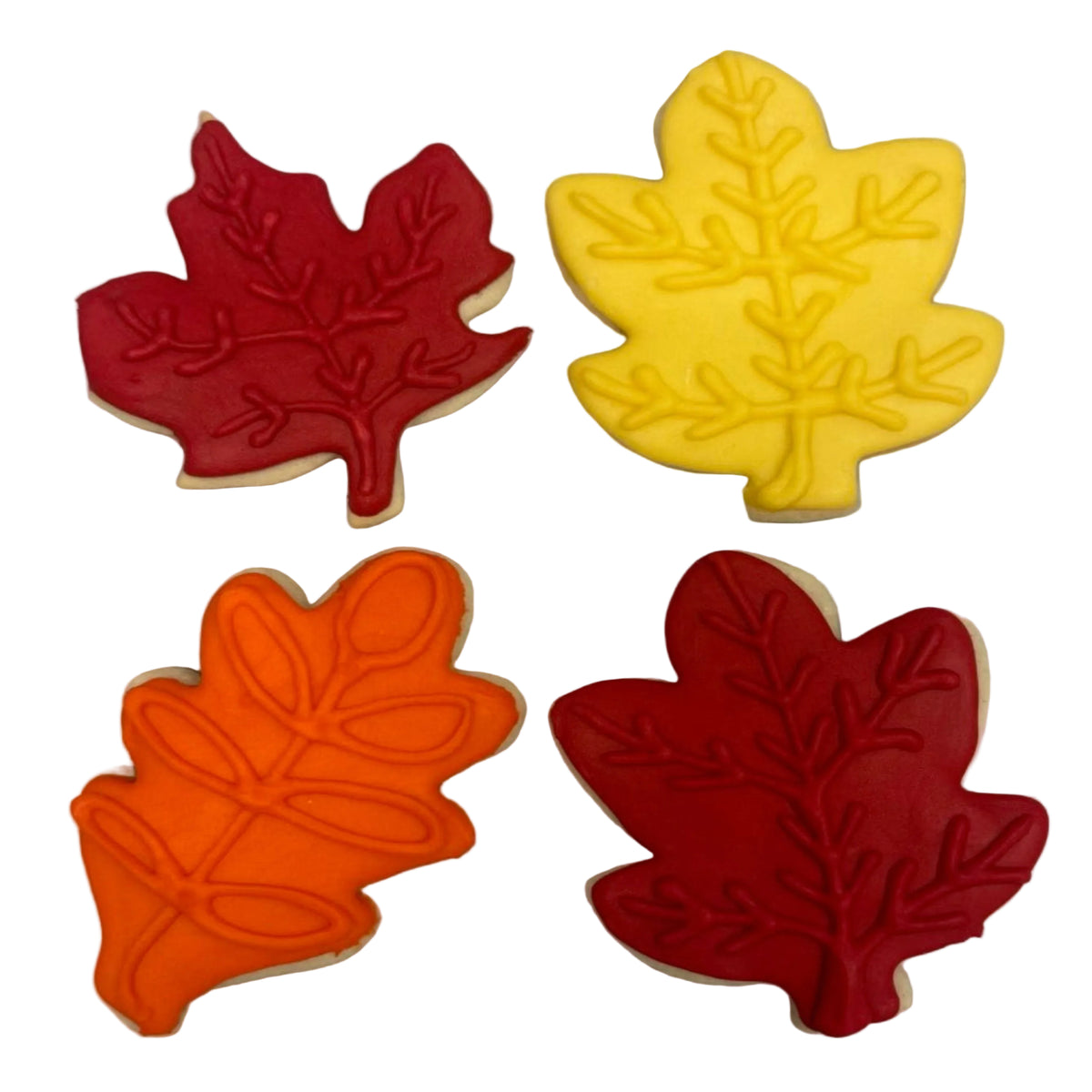 Week of November 1st - Fall Colors